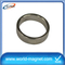 Ring Industry Rare Earth Neodymium Magnet
