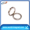 High Quality Sintered Ring Magnet