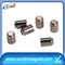 Permanent (40 * 30 mm) Neodymium Cylinder Magnets