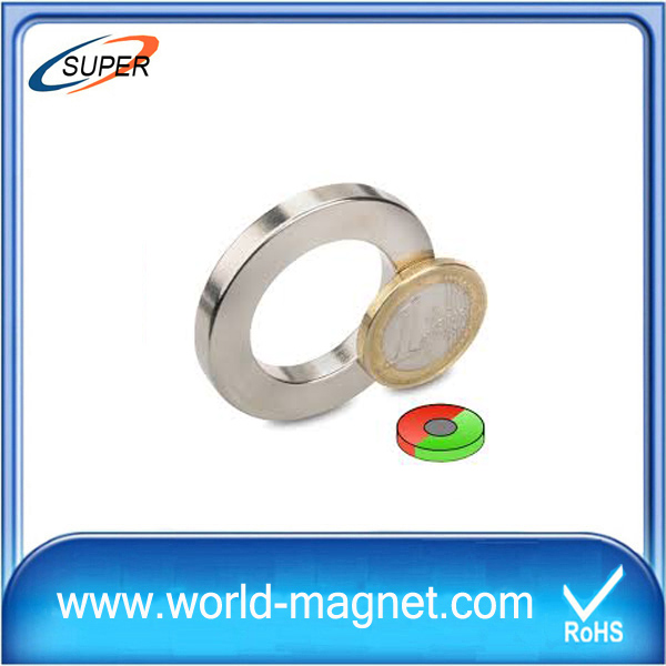 N42 Multipoles Neodymium Ring Magnet